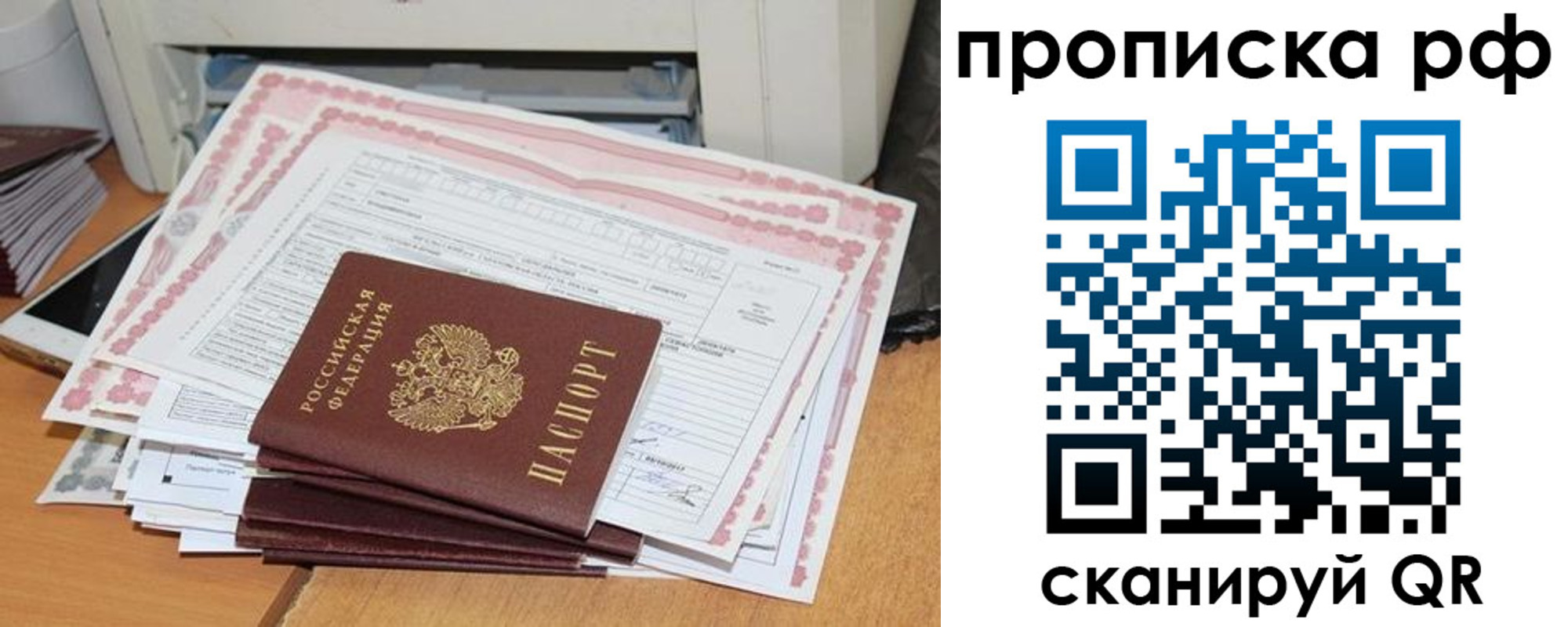 прописка гарантия в Сольцах
